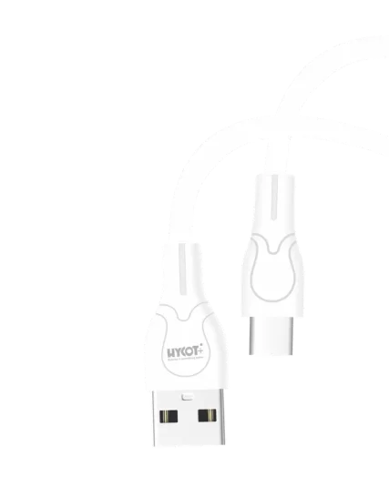 DC-202 C Tip Data Cable