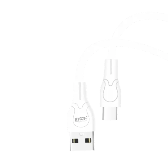 DC-202 C Tip Data Cable